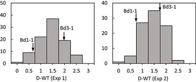 Quantitative Trait Loci Associated with Drought Tolerance in Brachypodium distachyon
